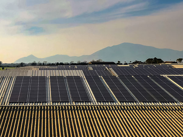 Impianto Fotovoltaico ~1 MegaWatt installato Pastorano, (CE) dall'azienda DMT Solar installatore certificato Tesla Powerwall e Sunpower Maxeon impianto fotovoltaico in Campania, Lazio, Molise, Lombardia, Piemonte, ITALIA